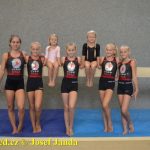 Tučapské gymnastky si zacvičily s českými reprezentantkami