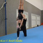 Tučapské gymnastky si zacvičily s českými reprezentantkami