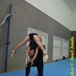 Tučapské gymnastky si zacvičily s českými reprezentantkami