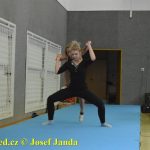 Tučapské gymnastky si zacvičily s českými reprezentantkami