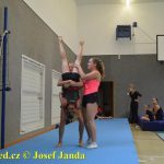 Tučapské gymnastky si zacvičily s českými reprezentantkami