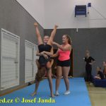 Tučapské gymnastky si zacvičily s českými reprezentantkami