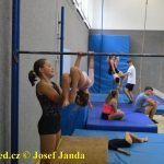 Tučapské gymnastky si zacvičily s českými reprezentantkami