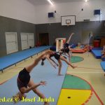 Tučapské gymnastky si zacvičily s českými reprezentantkami