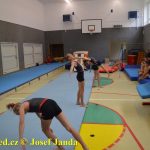 Tučapské gymnastky si zacvičily s českými reprezentantkami