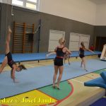 Tučapské gymnastky si zacvičily s českými reprezentantkami
