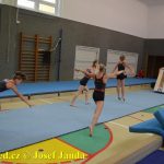 Tučapské gymnastky si zacvičily s českými reprezentantkami
