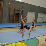 Tučapské gymnastky si zacvičily s českými reprezentantkami