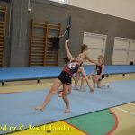 Tučapské gymnastky si zacvičily s českými reprezentantkami