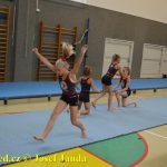 Tučapské gymnastky si zacvičily s českými reprezentantkami