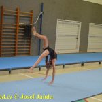 Tučapské gymnastky si zacvičily s českými reprezentantkami