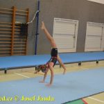 Tučapské gymnastky si zacvičily s českými reprezentantkami