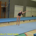 Tučapské gymnastky si zacvičily s českými reprezentantkami
