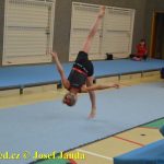 Tučapské gymnastky si zacvičily s českými reprezentantkami