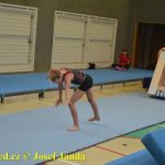Tučapské gymnastky si zacvičily s českými reprezentantkami