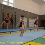 Tučapské gymnastky si zacvičily s českými reprezentantkami