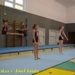 Tučapské gymnastky si zacvičily s českými reprezentantkami
