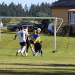 Fotbalisty Radenína-Kozmic remíza zklamala, Želečským přinesla první sezónní radost