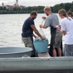 Odlov na táborském Jordánu skončil. Plán se nepodařilo naplnit