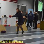 Tisíc her zmáknuto! Kuželkářský maraton stanovil neoficiální český rekord
