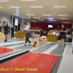 Tisíc her zmáknuto! Kuželkářský maraton stanovil neoficiální český rekord