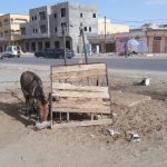 Z jihočeských Mažic do afrického Dakaru – Z Mauretánie do Senegalu