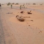 Z jihočeských Mažic do afrického Dakaru – Z Mauretánie do Senegalu
