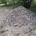 Z jihočeských Mažic do afrického Dakaru – Z Mauretánie do Senegalu