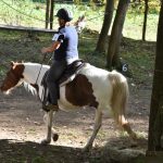 Letošní seriál Extreme Trail se uzavřel ve Vlksicích u Milevska