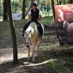 Letošní seriál Extreme Trail se uzavřel ve Vlksicích u Milevska