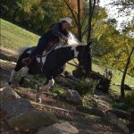 Letošní seriál Extreme Trail se uzavřel ve Vlksicích u Milevska