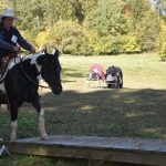 Letošní seriál Extreme Trail se uzavřel ve Vlksicích u Milevska