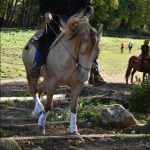 Letošní seriál Extreme Trail se uzavřel ve Vlksicích u Milevska