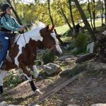 Letošní seriál Extreme Trail se uzavřel ve Vlksicích u Milevska