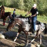 Letošní seriál Extreme Trail se uzavřel ve Vlksicích u Milevska