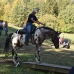 Letošní seriál Extreme Trail se uzavřel ve Vlksicích u Milevska