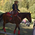 Letošní seriál Extreme Trail se uzavřel ve Vlksicích u Milevska
