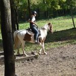 Letošní seriál Extreme Trail se uzavřel ve Vlksicích u Milevska
