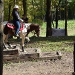 Letošní seriál Extreme Trail se uzavřel ve Vlksicích u Milevska