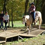 Letošní seriál Extreme Trail se uzavřel ve Vlksicích u Milevska