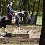 Letošní seriál Extreme Trail se uzavřel ve Vlksicích u Milevska