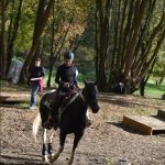 Letošní seriál Extreme Trail se uzavřel ve Vlksicích u Milevska