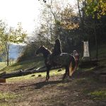 Letošní seriál Extreme Trail se uzavřel ve Vlksicích u Milevska