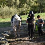 Letošní seriál Extreme Trail se uzavřel ve Vlksicích u Milevska