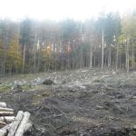 Měla to být názorová přestřelka o Šumavě. Dorazila jen jedna strana