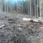Měla to být názorová přestřelka o Šumavě. Dorazila jen jedna strana