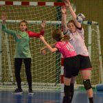 Dvoudenní turnaj mladších žaček v Milevsku ovládla Slavia. Domácí hráčky skončily sedmé