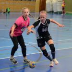 Dvoudenní turnaj mladších žaček v Milevsku ovládla Slavia. Domácí hráčky skončily sedmé