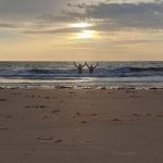 Z jihočeských Mažic do afrického Dakaru – V cíli cesty. Pobřeží Atlantiku – Dakar