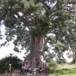 Z jihočeských Mažic do afrického Dakaru – V cíli cesty. Pobřeží Atlantiku – Dakar